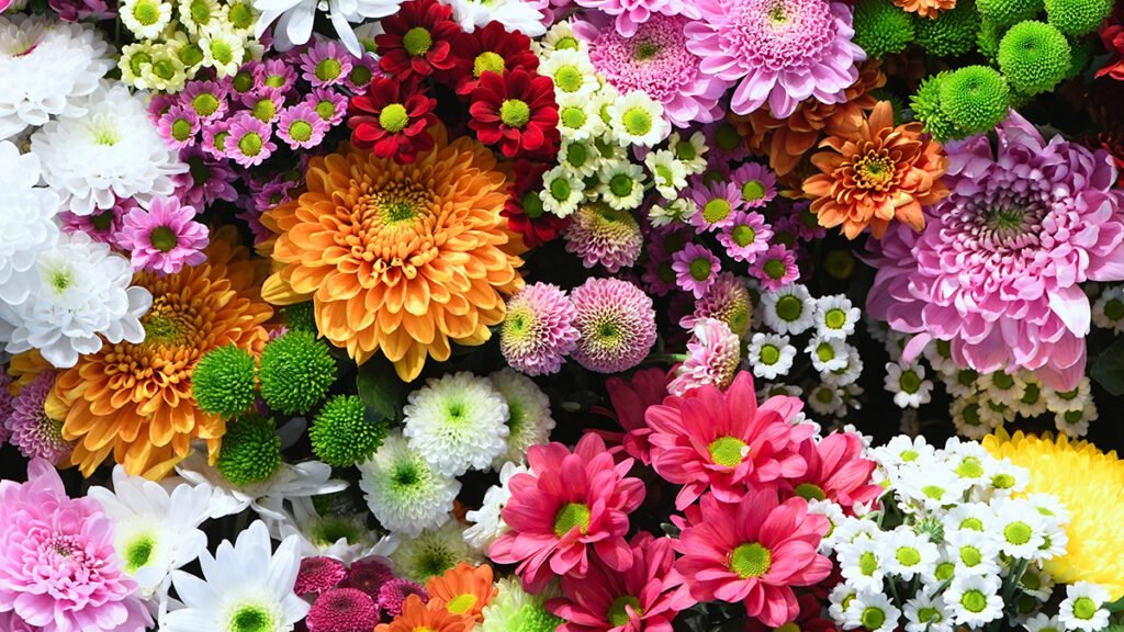 Fresh flowers in Sitapur