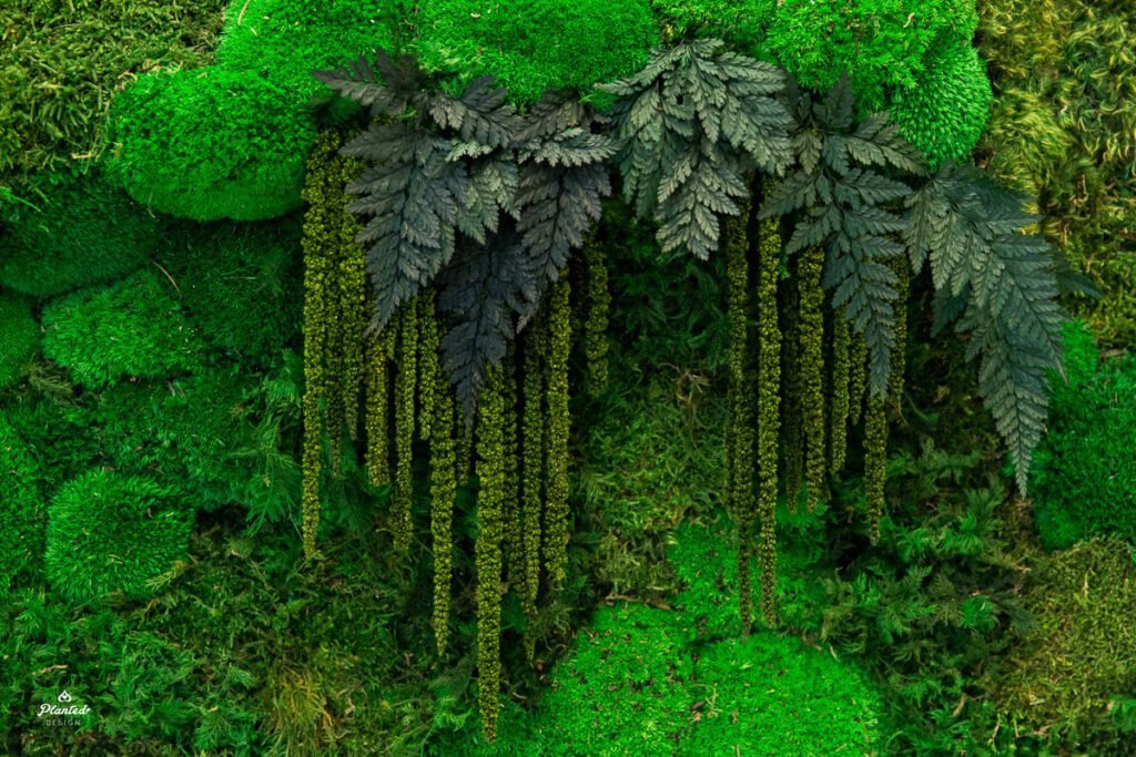 Moss Frames